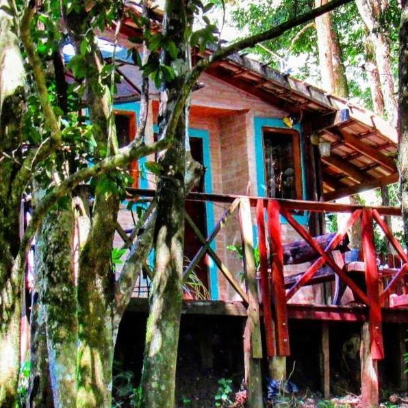 Casa Aconchegante Na Serra. Santo Antonio do Pinhal Bagian luar foto
