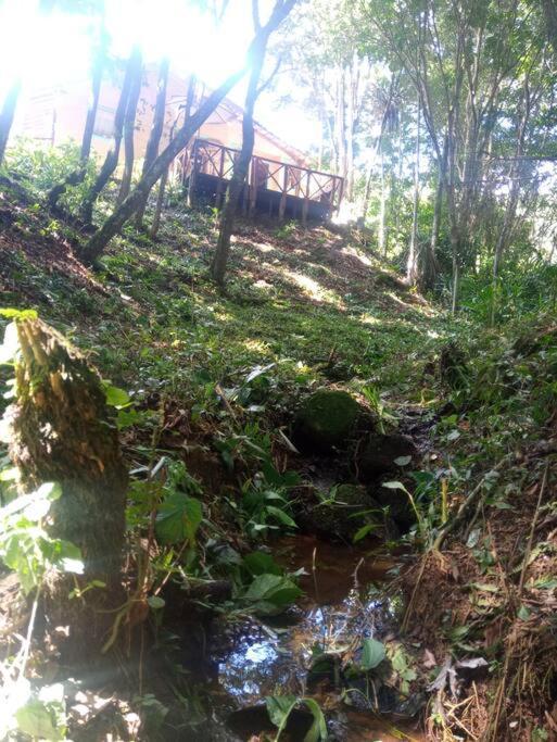 Casa Aconchegante Na Serra. Santo Antonio do Pinhal Bagian luar foto